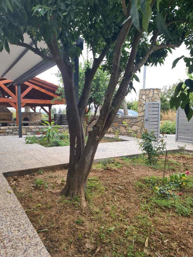 Silver House Asimi Ngoại thất bức ảnh